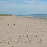 Les Bambous En Baie Du Mont St Michel