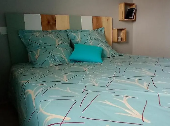 Les Bambous En Baie Du Mont St Michel