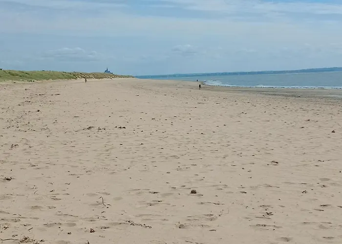 Les Bambous En Baie Du Mont St Michel